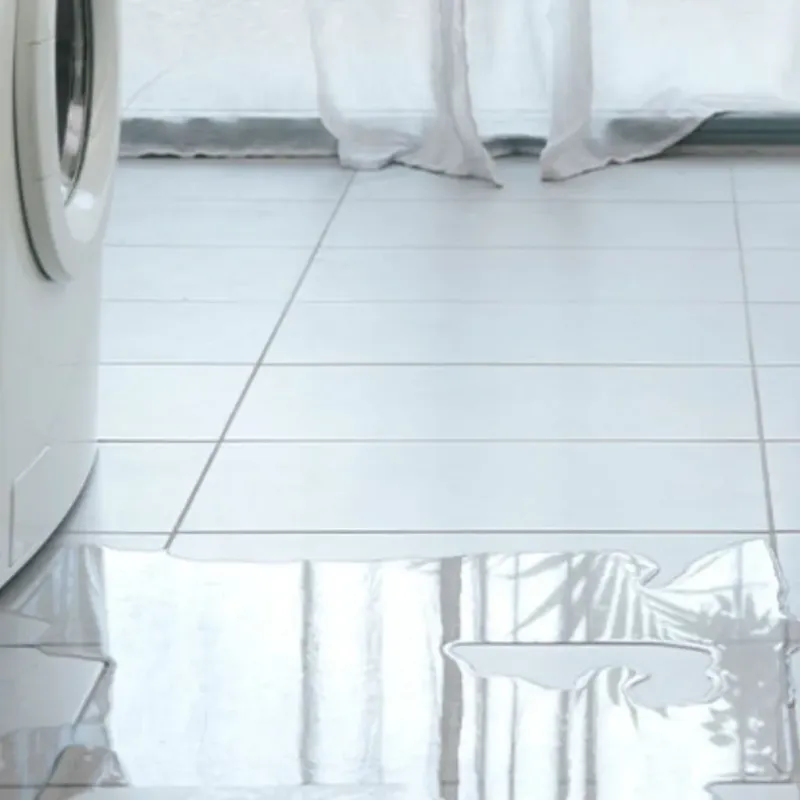Appliance Leak Cleanup in Paris, ID