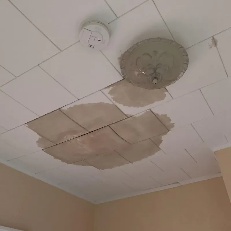 Ceiling Water Damage Repair in Paris, ID