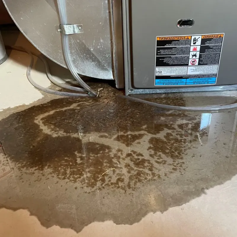 Pipe Burst and Leak Restoration in Paris, ID