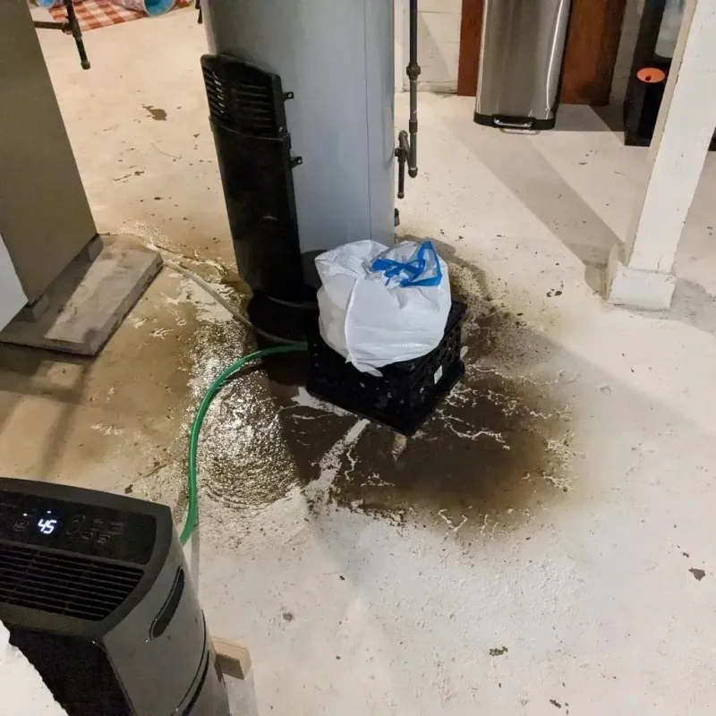 Sewage Backup Cleanup Service in Paris, ID